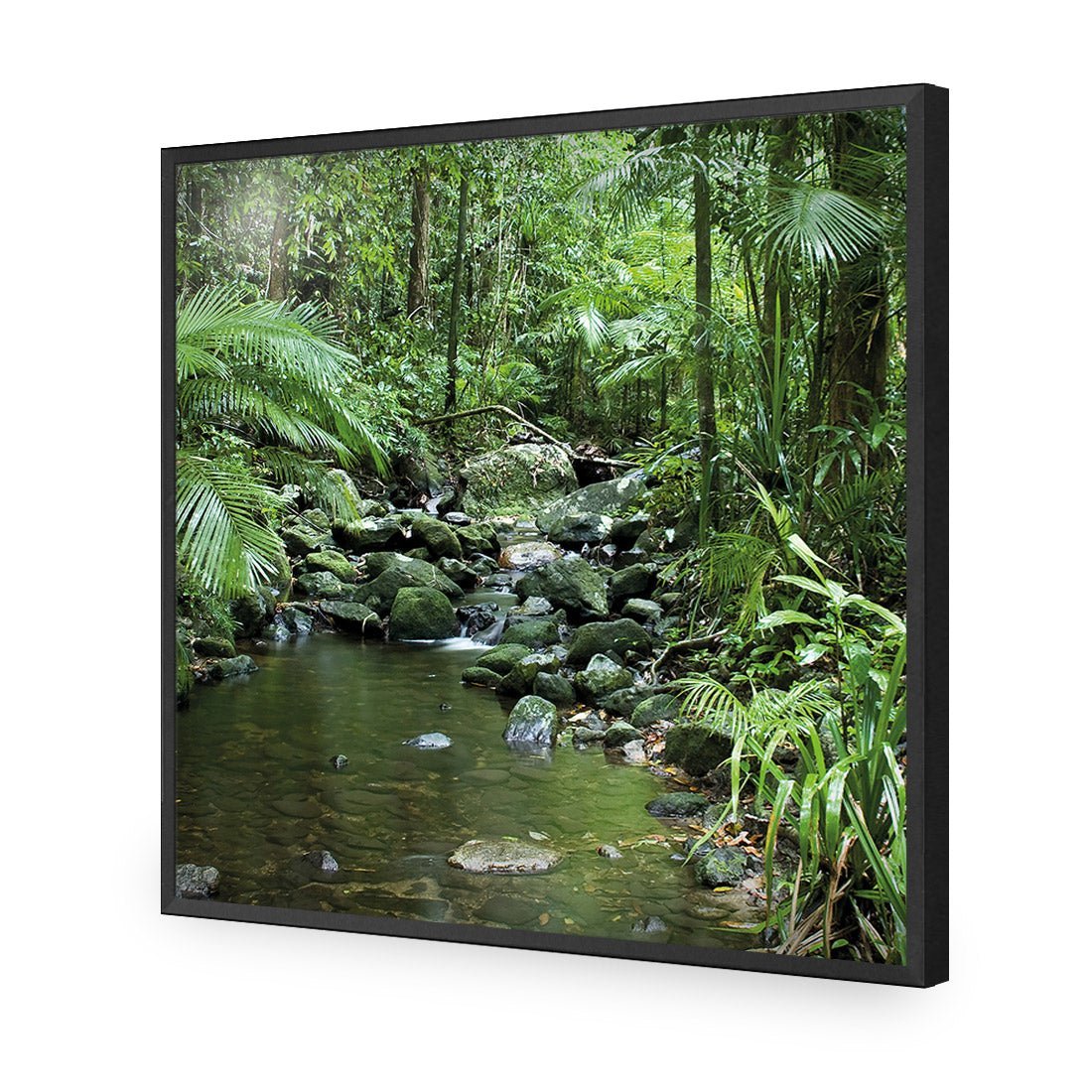 Mossman River In Daintree Rainforest (Square) - Wall Art Designs - 2610_AS_Q WAD_AP - 030 - EDG_37x37_S - 2538 - BLK