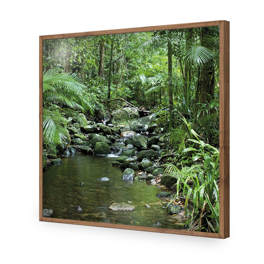 Mossman River In Daintree Rainforest (Square) - Wall Art Designs - 2610_AS_Q WAD_AP - 030 - EDG_37x37_S - 2538 - NAT