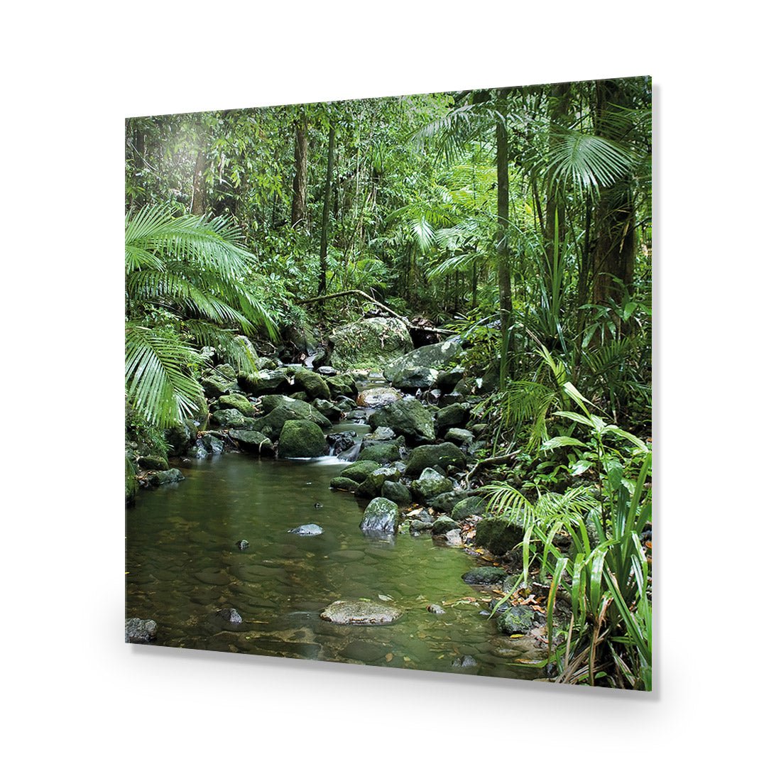 Mossman River In Daintree Rainforest (Square) - Wall Art Designs - 2610_AS_Q WAD_AP - 030 - EDG_37x37_NONE