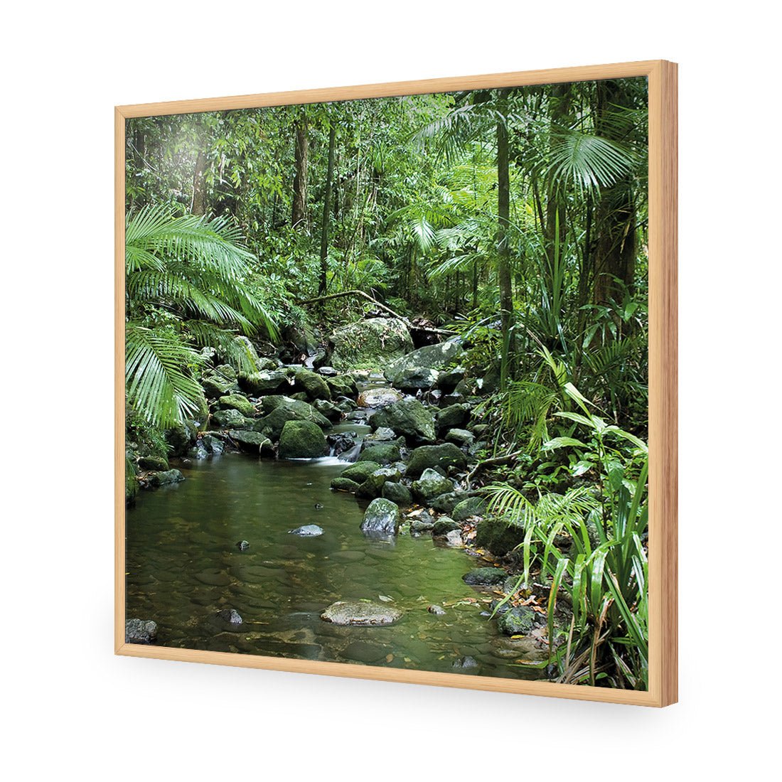 Mossman River In Daintree Rainforest (Square) - Wall Art Designs - 2610_AS_Q WAD_AP - 030 - EDG_37x37_S - 2538 - OAK