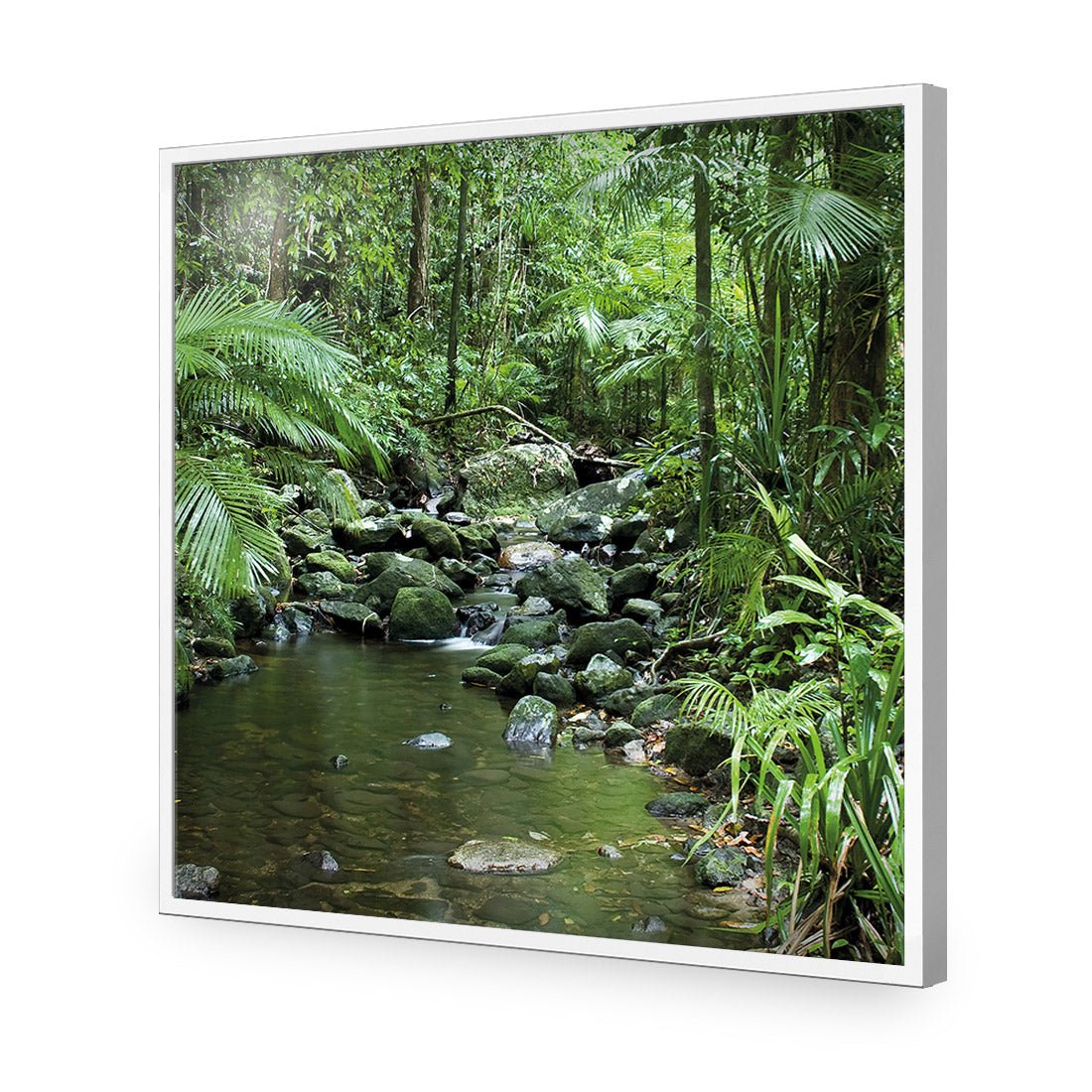 Mossman River In Daintree Rainforest (Square) - Wall Art Designs - 2610_AS_Q WAD_AP - 030 - EDG_37x37_S - 2538 - WHT