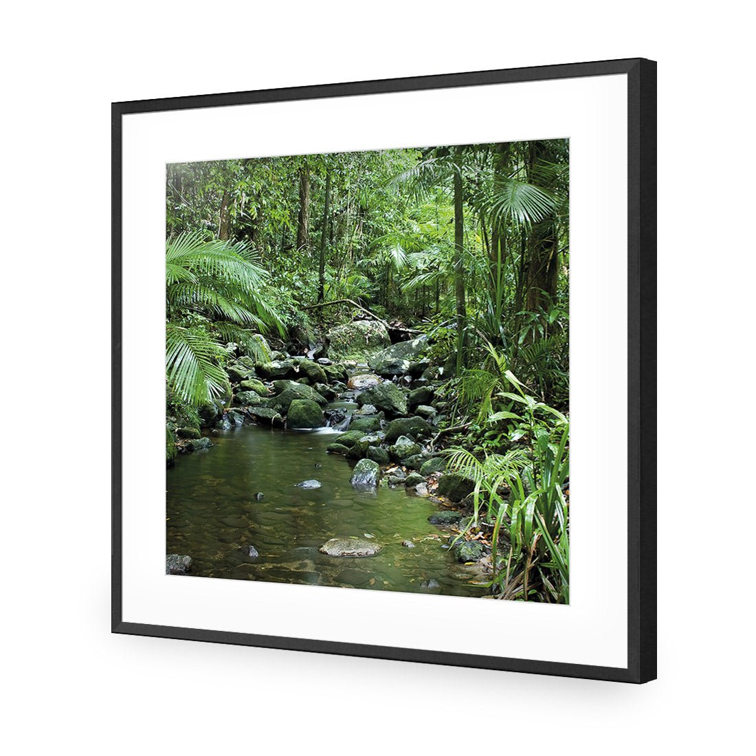 Mossman River In Daintree Rainforest (Square) - Wall Art Designs - 2610_AS_Q WAD_AP - 030 - MAT_37x37_S - 2538 - BLK