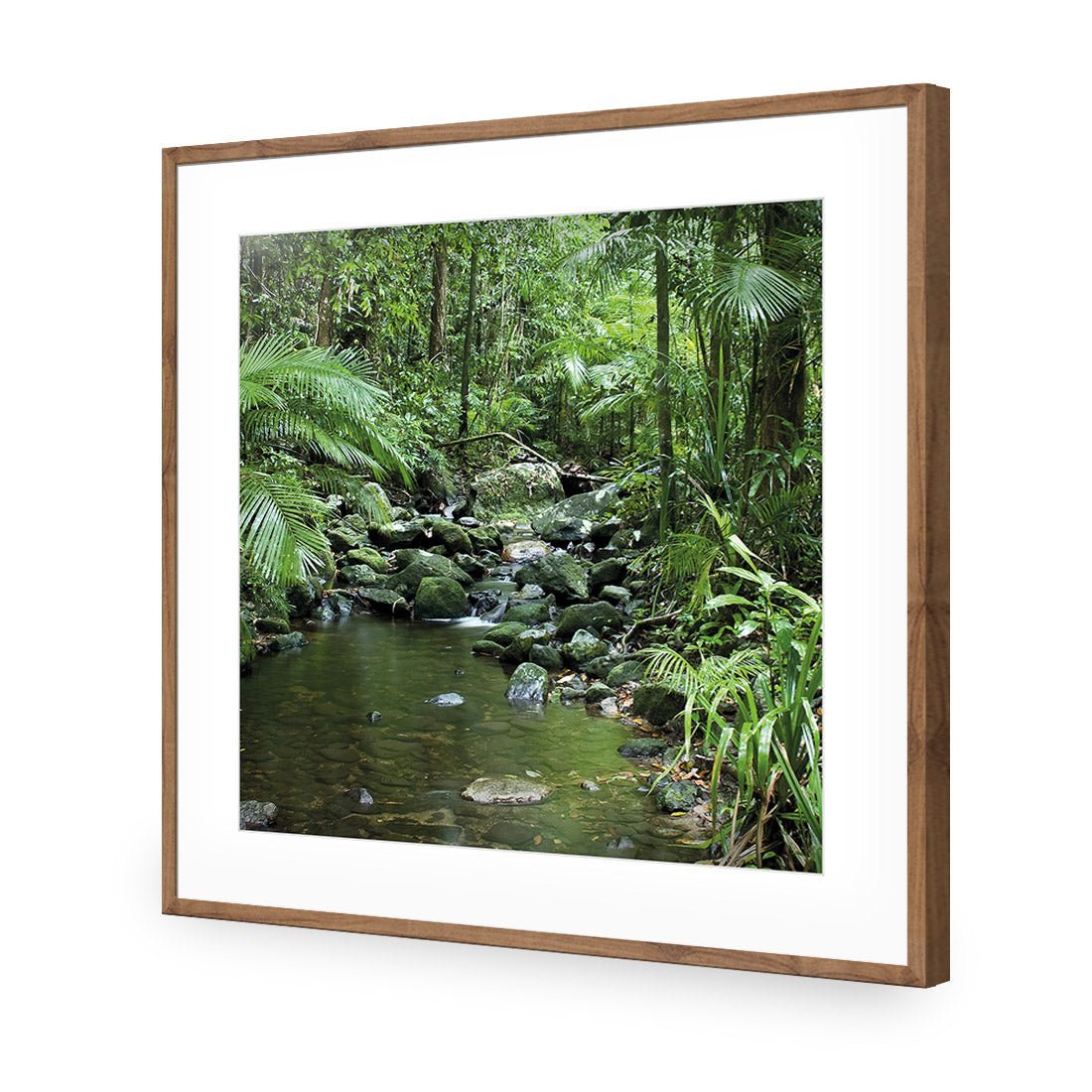 Mossman River In Daintree Rainforest (Square) - Wall Art Designs - 2610_AS_Q WAD_AP - 030 - MAT_37x37_S - 2538 - NAT