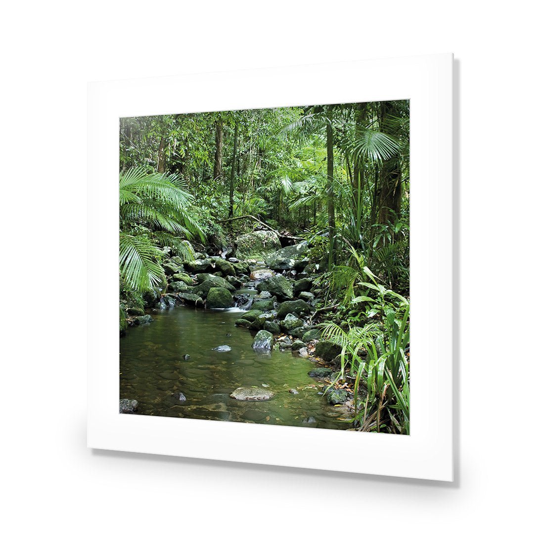 Mossman River In Daintree Rainforest (Square) - Wall Art Designs - 2610_AS_Q WAD_AP - 030 - MAT_37x37_NONE