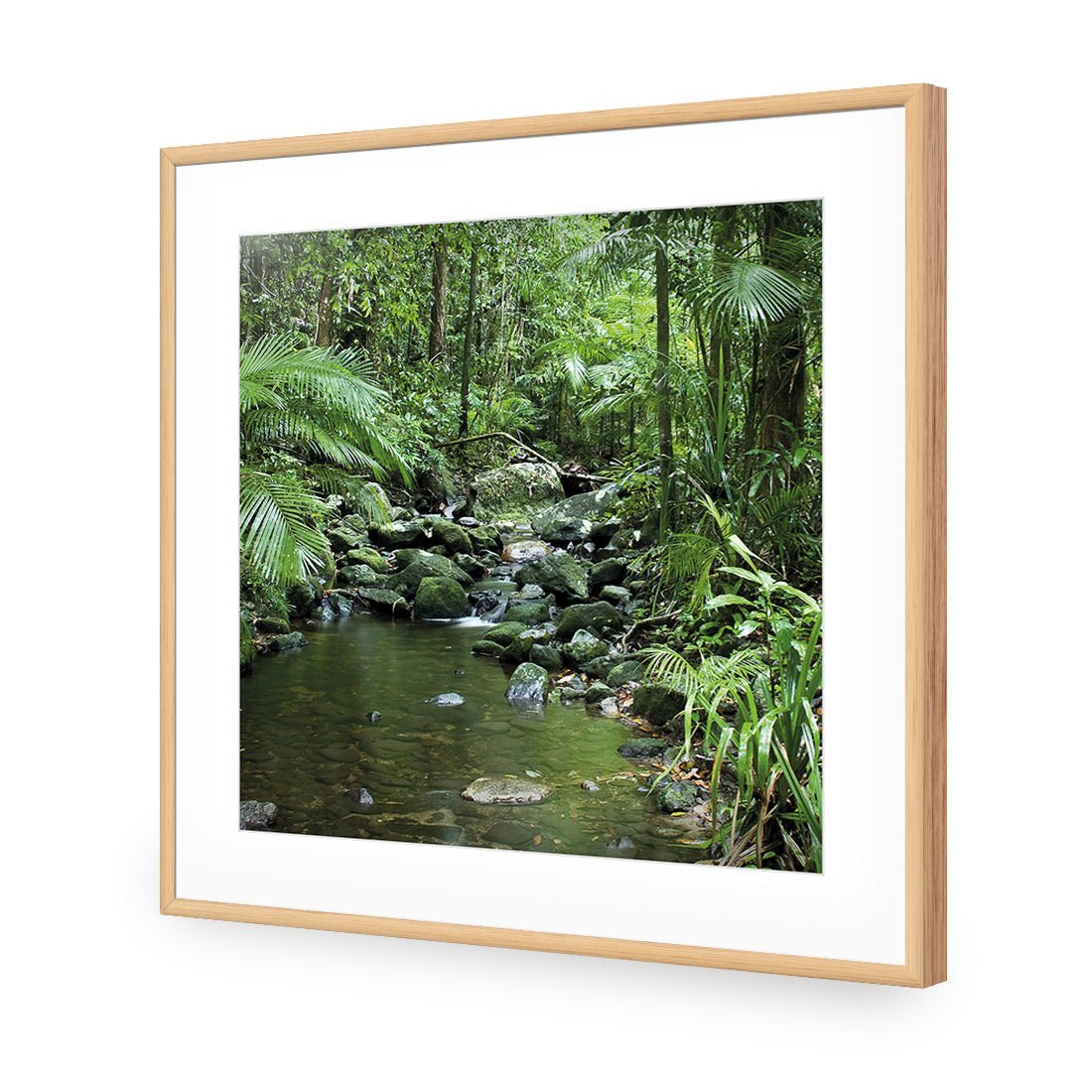 Mossman River In Daintree Rainforest (Square) - Wall Art Designs - 2610_AS_Q WAD_AP - 030 - MAT_37x37_S - 2538 - OAK