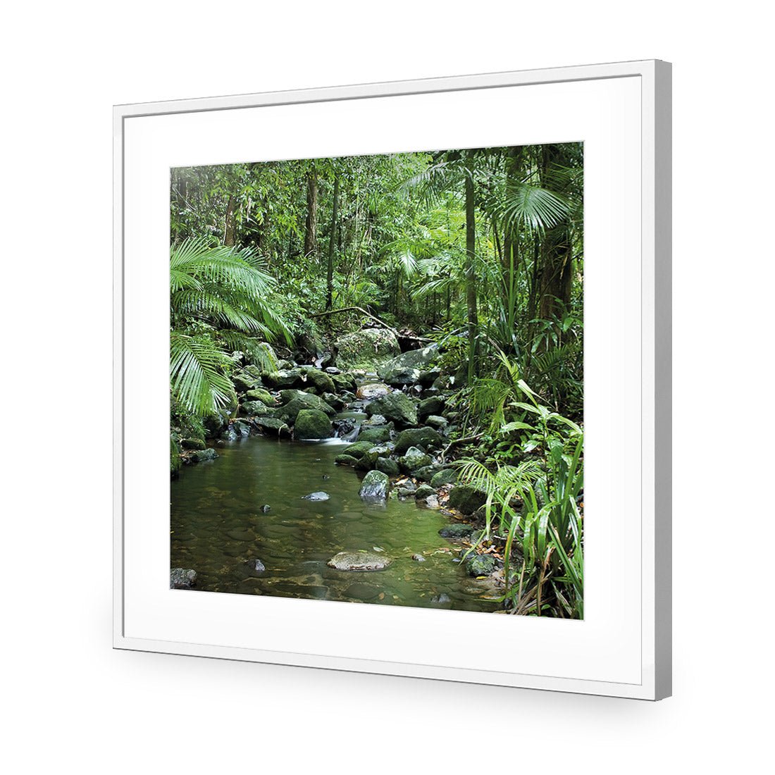 Mossman River In Daintree Rainforest (Square) - Wall Art Designs - 2610_AS_Q WAD_AP - 030 - MAT_37x37_S - 2538 - WHT