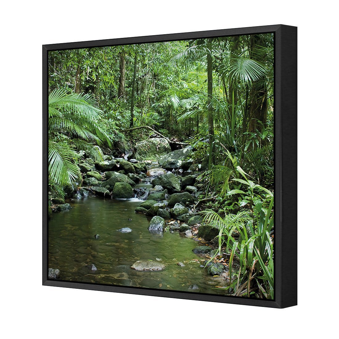 Mossman River In Daintree Rainforest (Square) - Wall Art Designs - 2610_AS_Q WAD_CP - MPY - 260 - M - S - S_37x37_S - 1550 - BLK