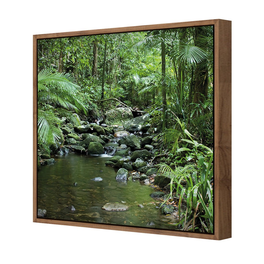 Mossman River In Daintree Rainforest (Square) - Wall Art Designs - 2610_AS_Q WAD_CP - MPY - 260 - M - S - S_37x37_S - 1550 - NAT