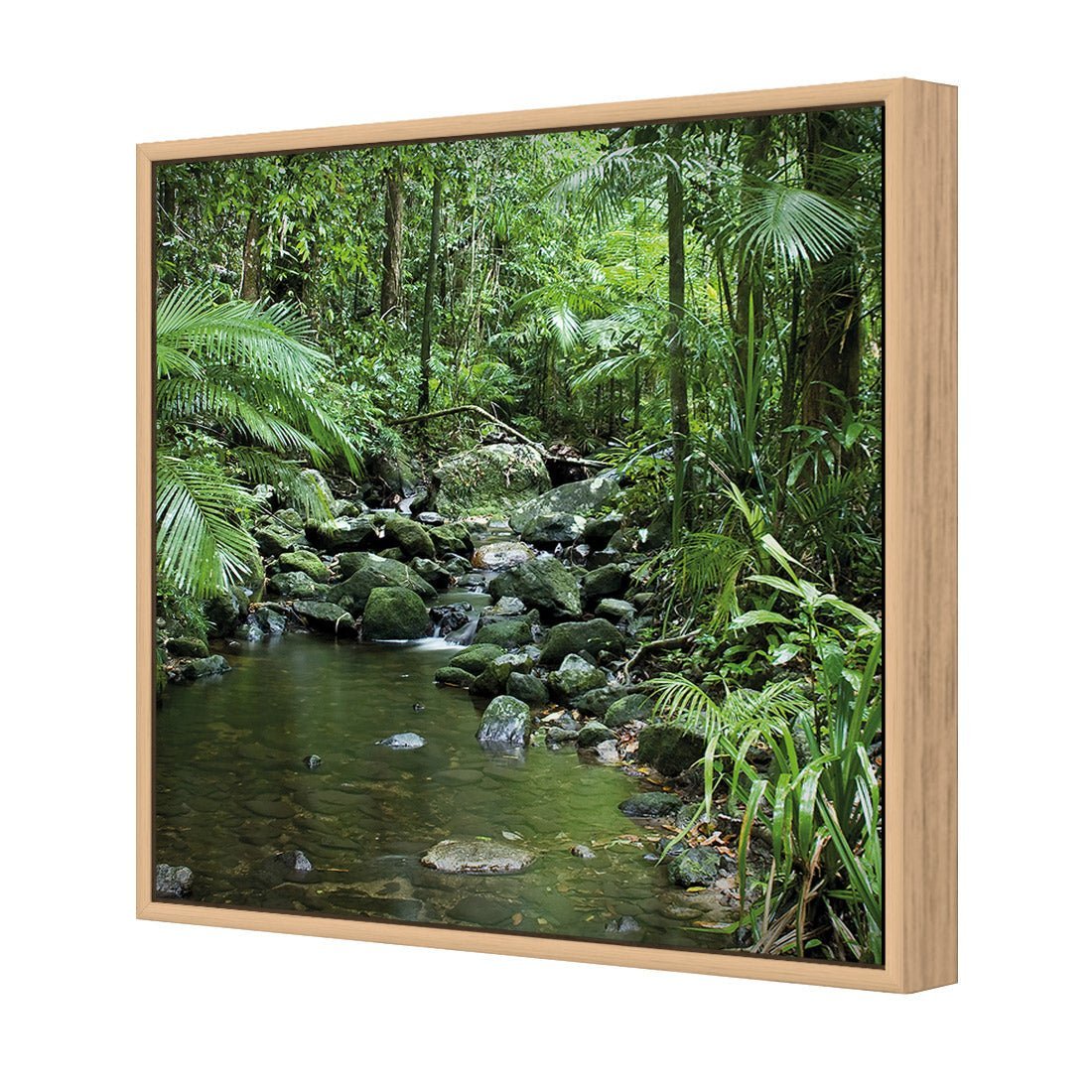 Mossman River In Daintree Rainforest (Square) - Wall Art Designs - 2610_AS_Q WAD_CP - MPY - 260 - M - S - S_37x37_S - 1550 - OAK