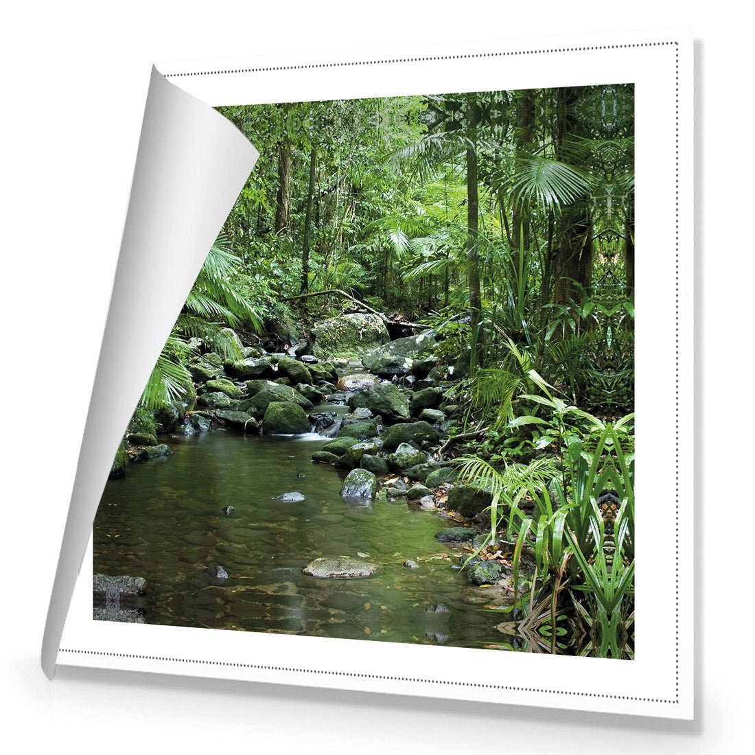 Mossman River In Daintree Rainforest (Square) - Wall Art Designs - 2610_AS_Q WAD_CP - MPY - 260 - M - R_37x37_NONE