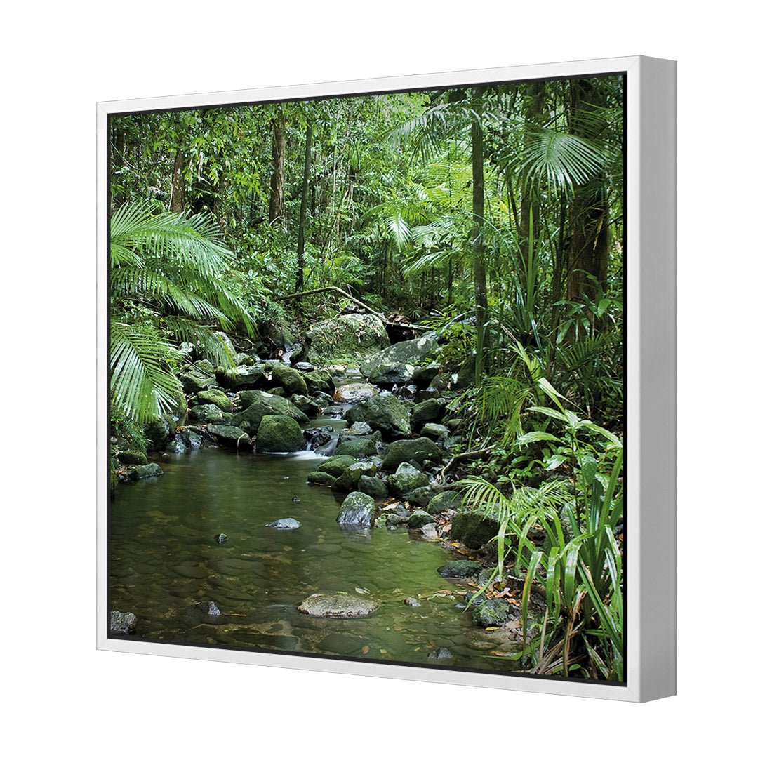 Mossman River In Daintree Rainforest (Square) - Wall Art Designs - 2610_AS_Q WAD_CP - MPY - 260 - M - S - S_37x37_S - 1550 - WHT