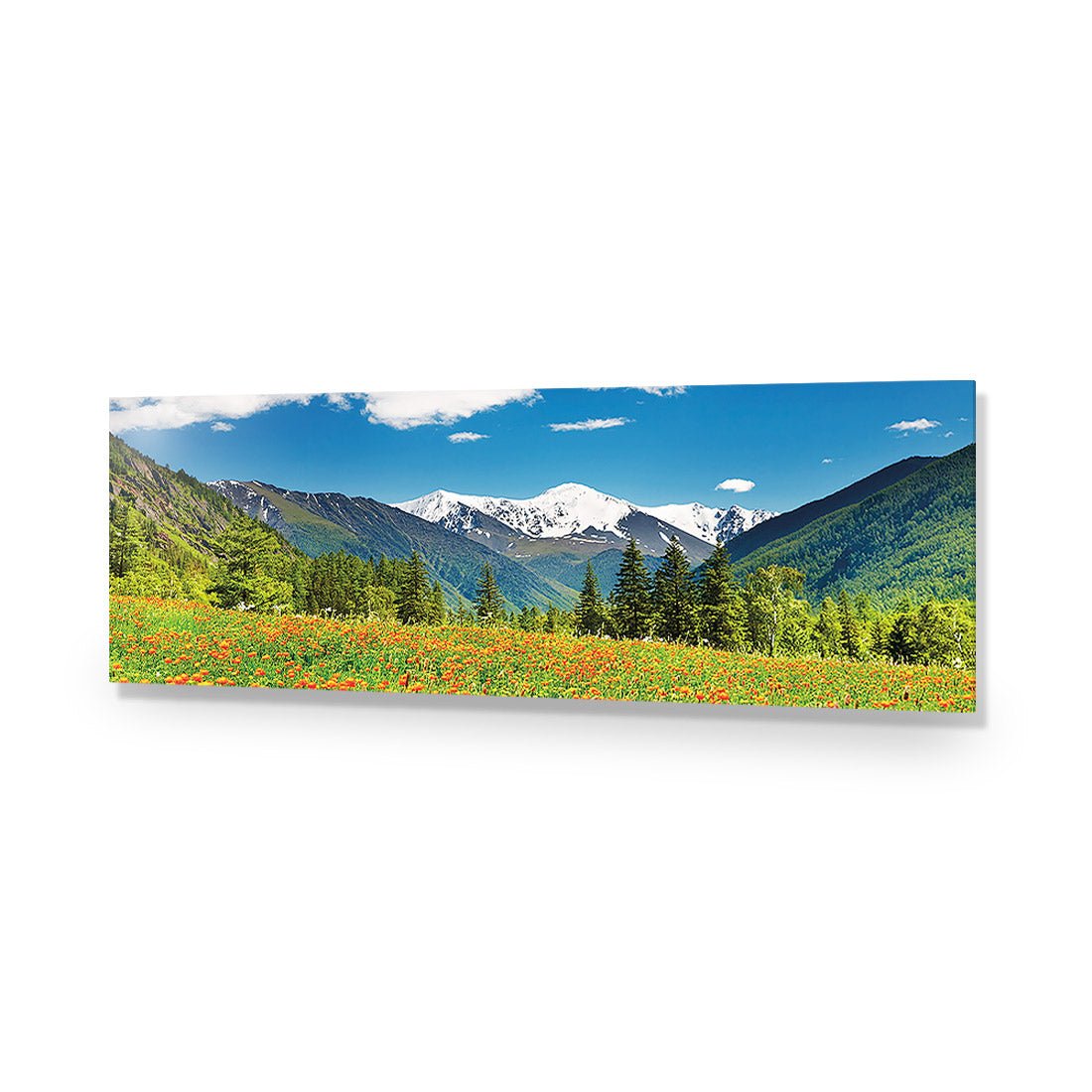 Mountain Meadow (long) - Wall Art Designs - 1989_AL_H WAD_AP - 030 - EDG_90x30_NONE