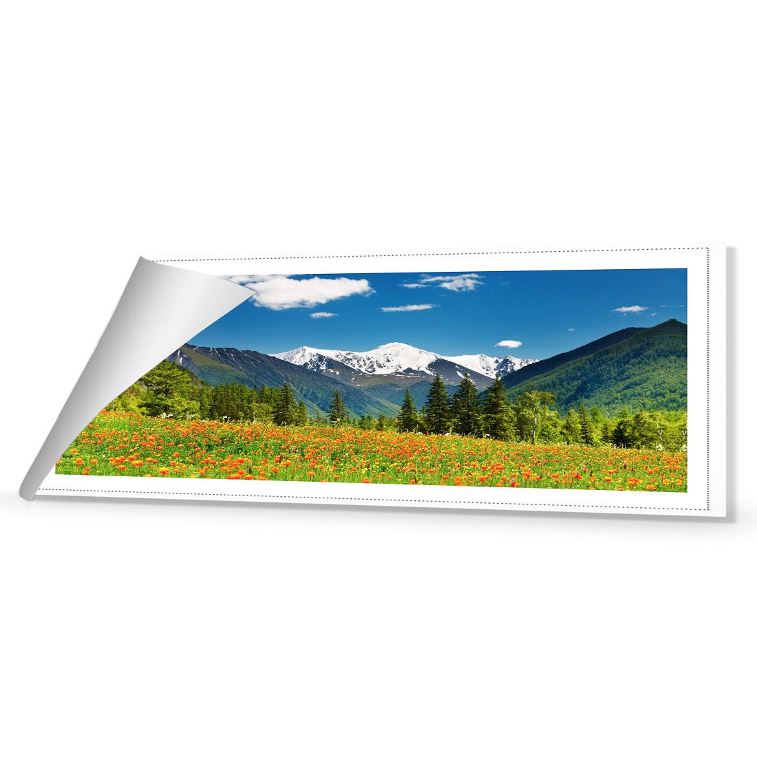 Mountain Meadow (long) - Wall Art Designs - 1989_AL_H WAD_CP - MPY - 260 - M - R_60x20_NONE