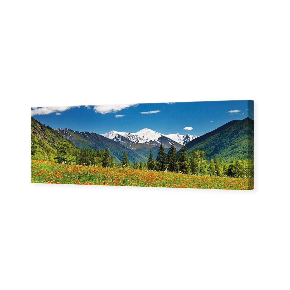 Mountain Meadow (long) - Wall Art Designs - 1989_AL_H WAD_CP - MPY - 260 - M - S - S_60x20_NONE