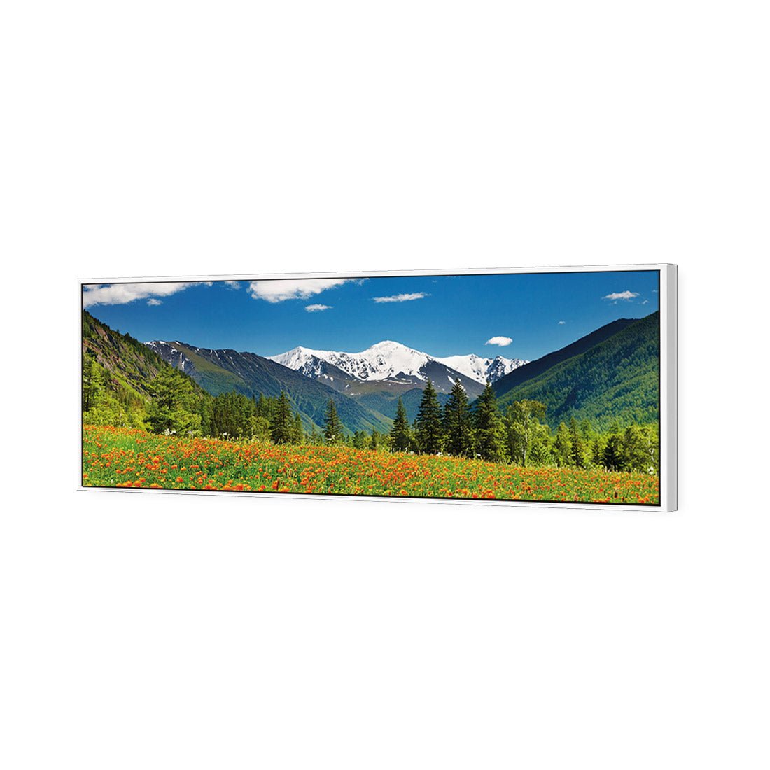 Mountain Meadow (long) - Wall Art Designs - 1989_AL_H WAD_CP - MPY - 260 - M - S - S_60x20_S - 1550 - WHT