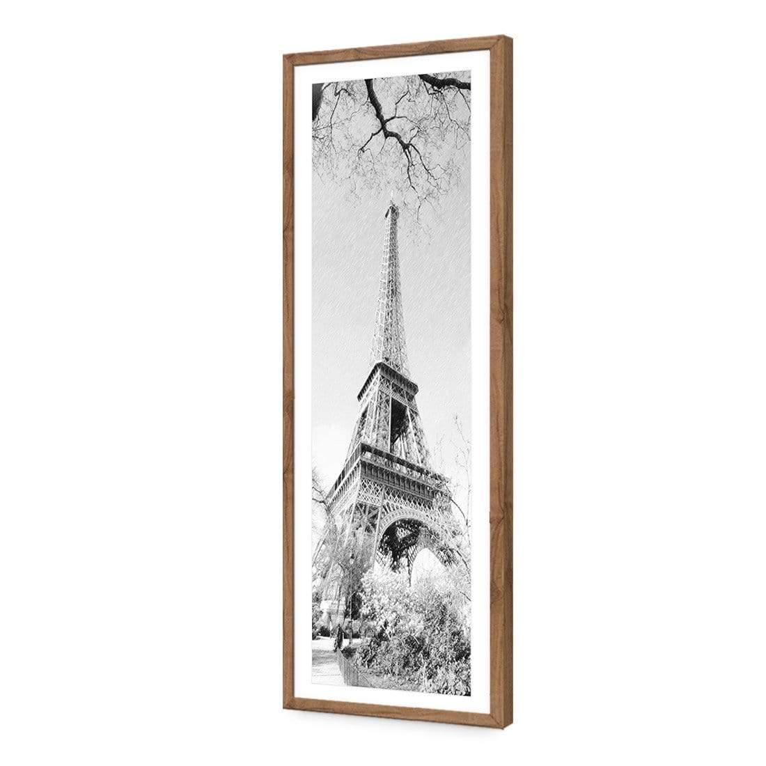 Old Time Eiffel Tower Sketch (Long) - Wall Art Designs - 427_EL_V WAD_CP - MPY - 260 - M - S - S_60x20_NONE