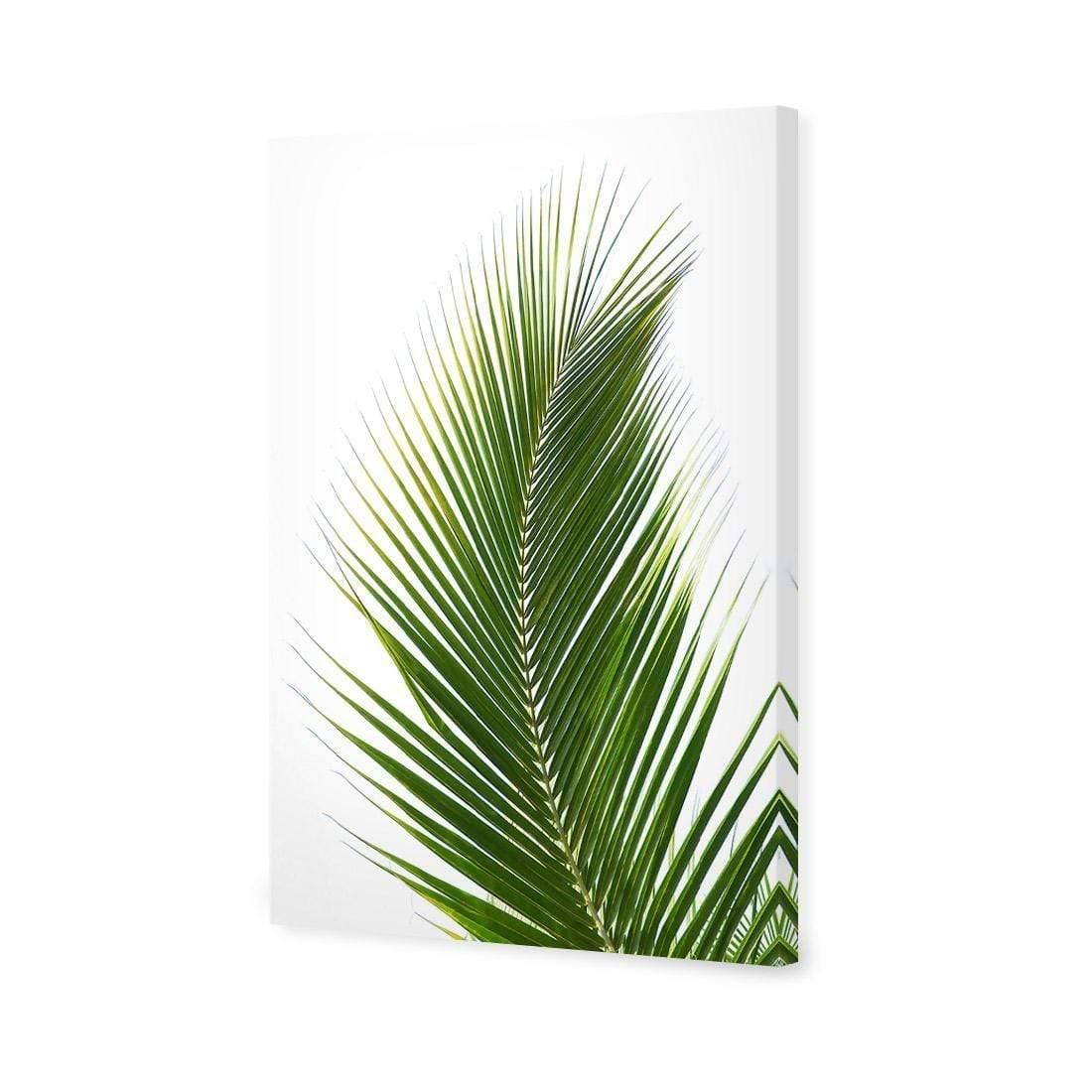 Palm Frond | Classic Canvas | No Frame | Stretched Canvas