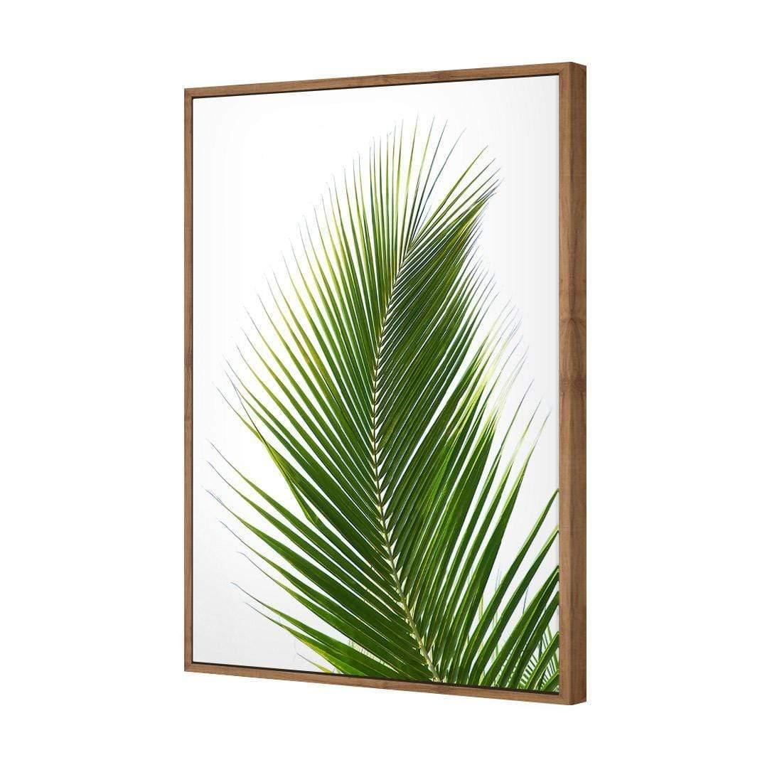 Palm Frond | Classic Canvas | No Frame | Stretched Canvas