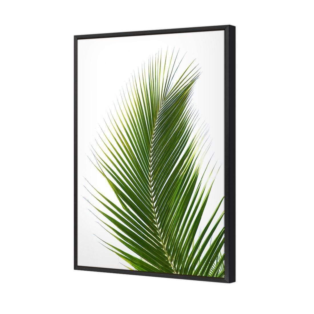 Palm Frond | Classic Canvas | No Frame | Stretched Canvas