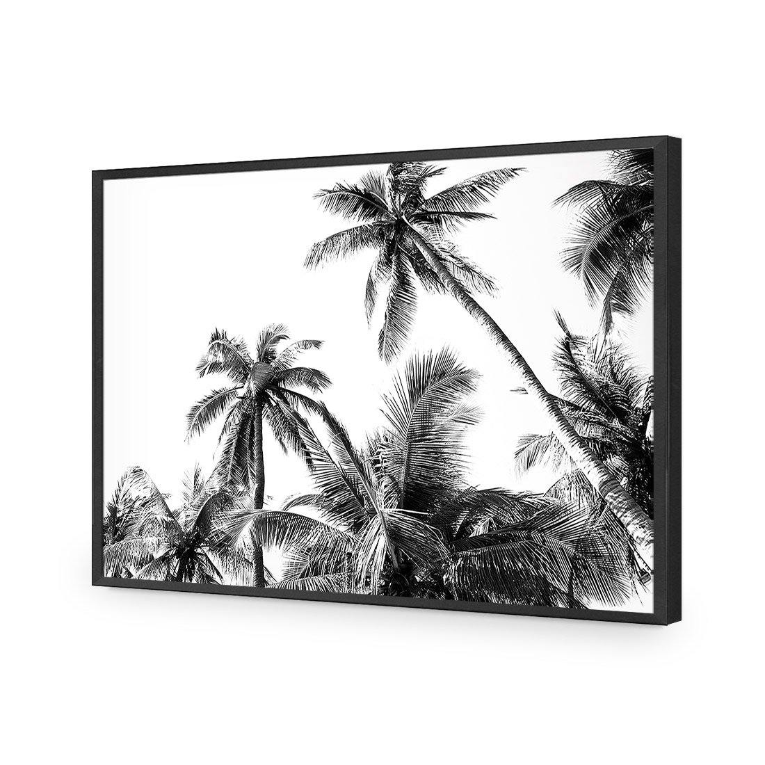 Palm Projections - Wall Art Designs - 3004_AR_H WAD_AP - 030 - EDG_45x30_S - 2538 - BLK