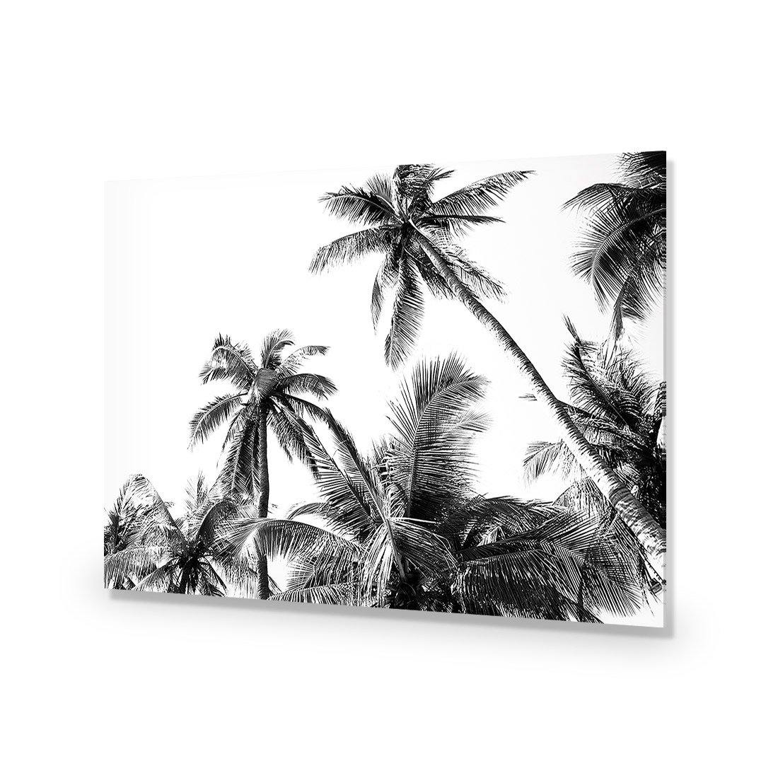 Palm Projections - Wall Art Designs - 3004_AR_H WAD_AP - 030 - EDG_45x30_NONE