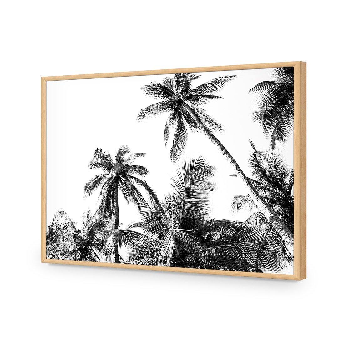 Palm Projections - Wall Art Designs - 3004_AR_H WAD_AP - 030 - EDG_45x30_S - 2538 - OAK