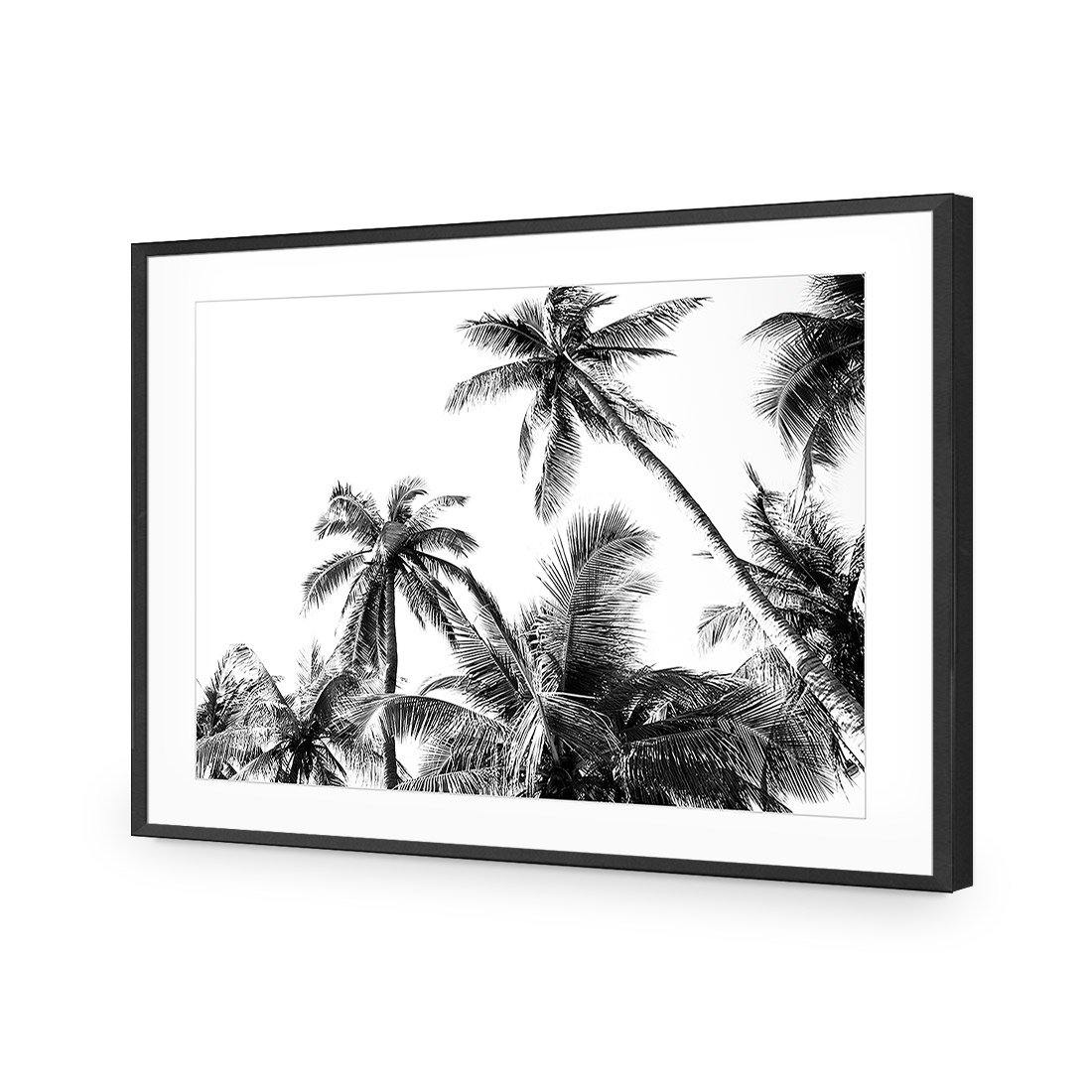 Palm Projections - Wall Art Designs - 3004_AR_H WAD_AP - 030 - MAT_45x30_S - 2538 - BLK