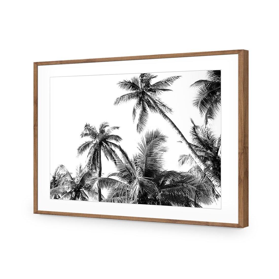 Palm Projections - Wall Art Designs - 3004_AR_H WAD_AP - 030 - MAT_45x30_S - 2538 - NAT