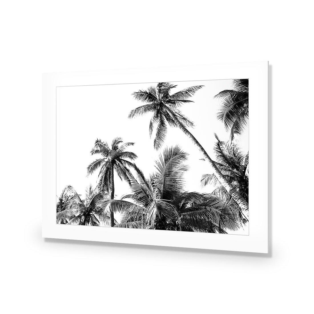 Palm Projections - Wall Art Designs - 3004_AR_H WAD_AP - 030 - MAT_45x30_NONE