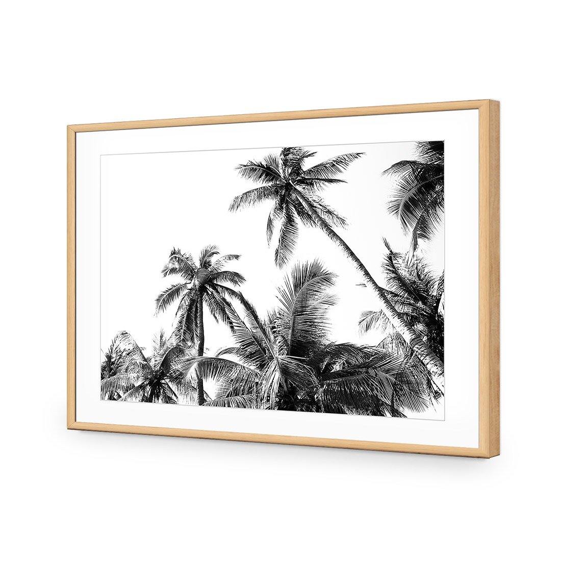 Palm Projections - Wall Art Designs - 3004_AR_H WAD_AP - 030 - MAT_45x30_S - 2538 - OAK