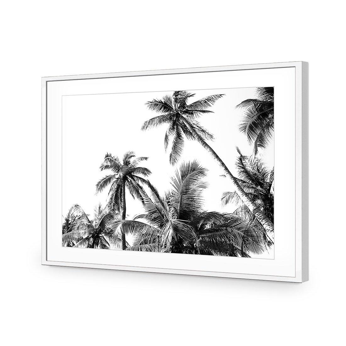 Palm Projections - Wall Art Designs - 3004_AR_H WAD_AP - 030 - MAT_45x30_S - 2538 - WHT