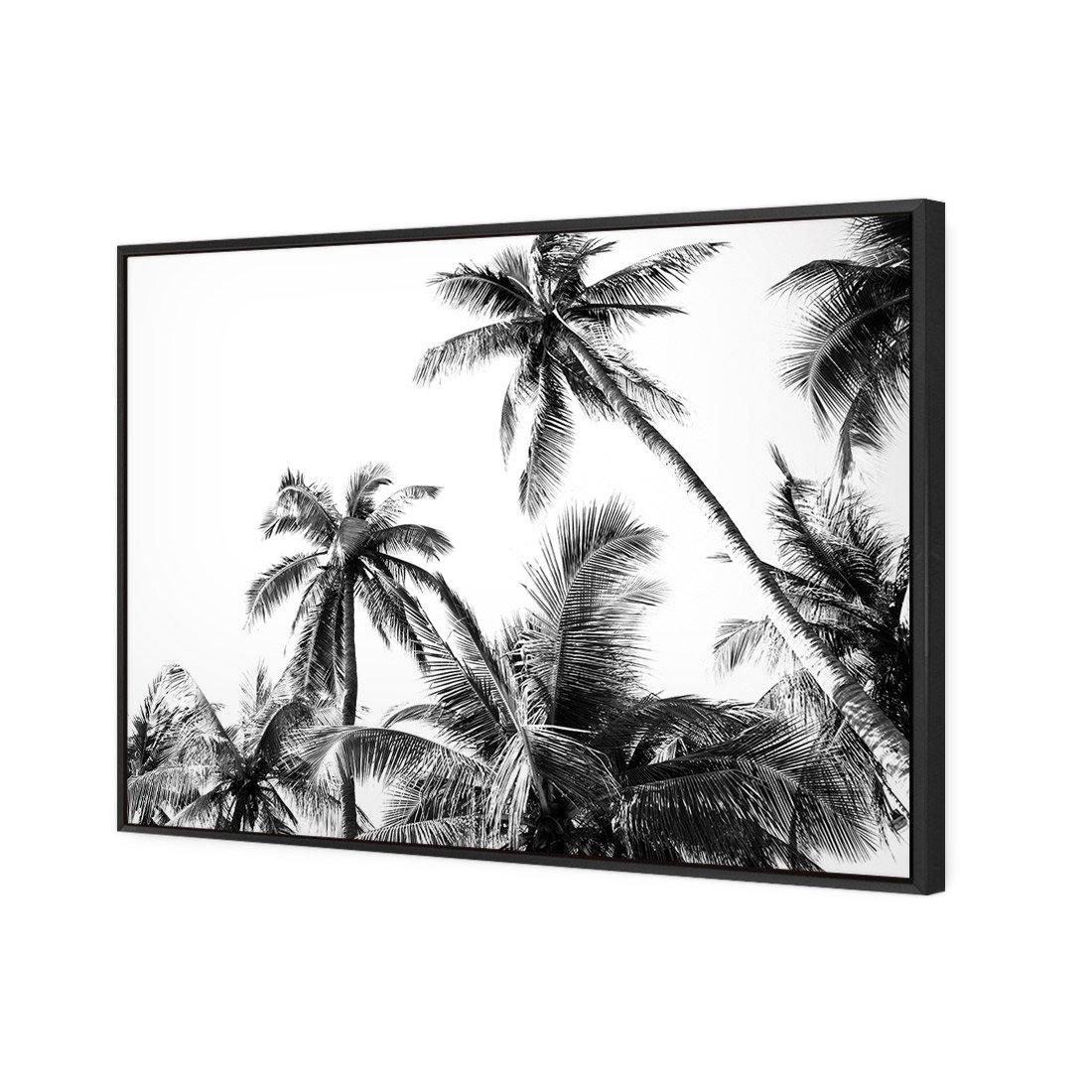 Palm Projections - Wall Art Designs - 3004_AR_H WAD_CP - MPY - 260 - M - S - S_45x30_S - 1550 - BLK