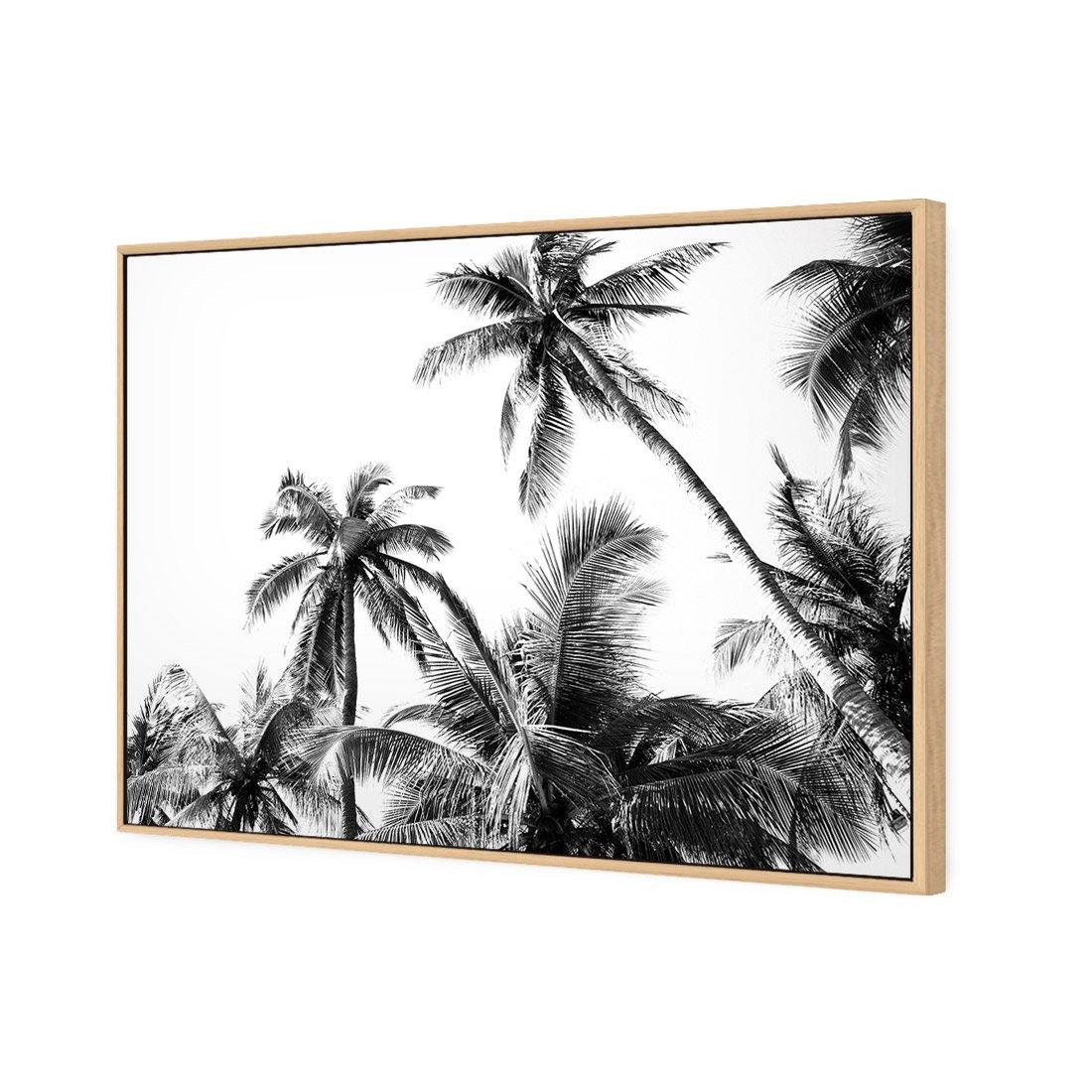 Palm Projections - Wall Art Designs - 3004_AR_H WAD_CP - MPY - 260 - M - S - S_45x30_S - 1550 - OAK