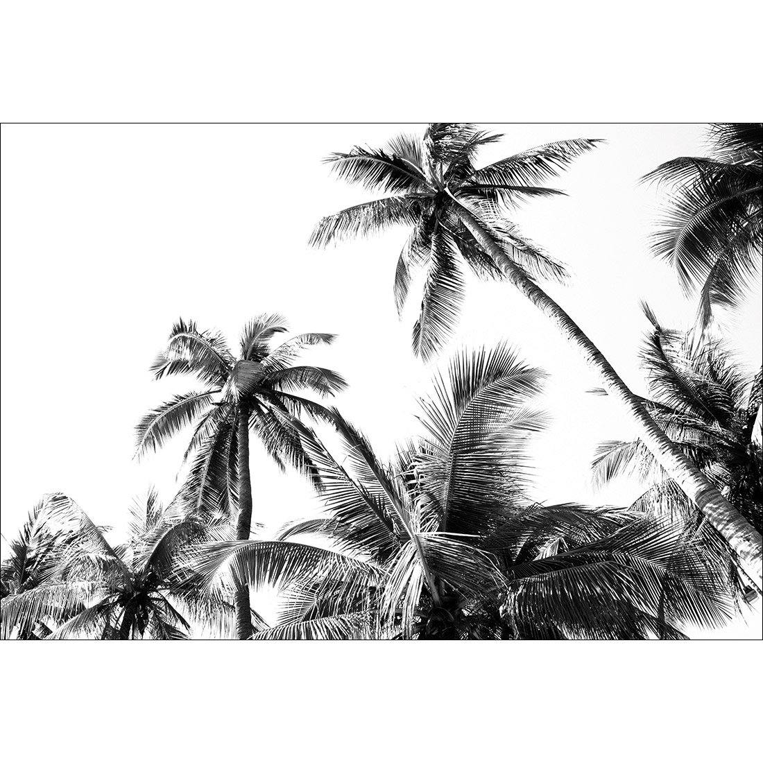 Palm Projections - Wall Art Designs - 3004_AR_H WAD_CP - MPY - 260 - M - S - S_45x30_NONE