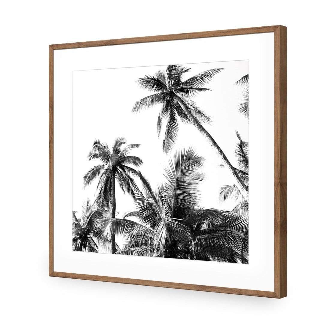 Palm Projections (Square) - Wall Art Designs - 3004_AS_Q WAD_CP - MPY - 260 - M - S - S_37x37_NONE