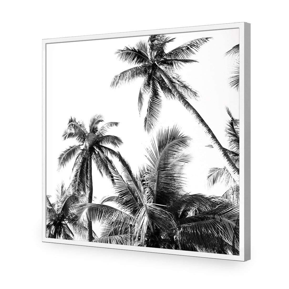 Palm Projections (Square) - Wall Art Designs - 3004_AS_Q WAD_CP - MPY - 260 - M - S - S_37x37_NONE