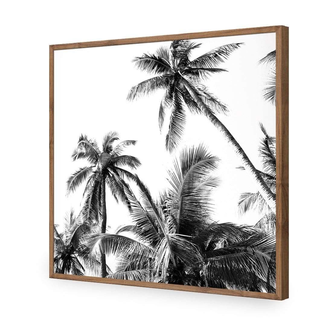 Palm Projections (Square) - Wall Art Designs - 3004_AS_Q WAD_CP - MPY - 260 - M - S - S_37x37_NONE