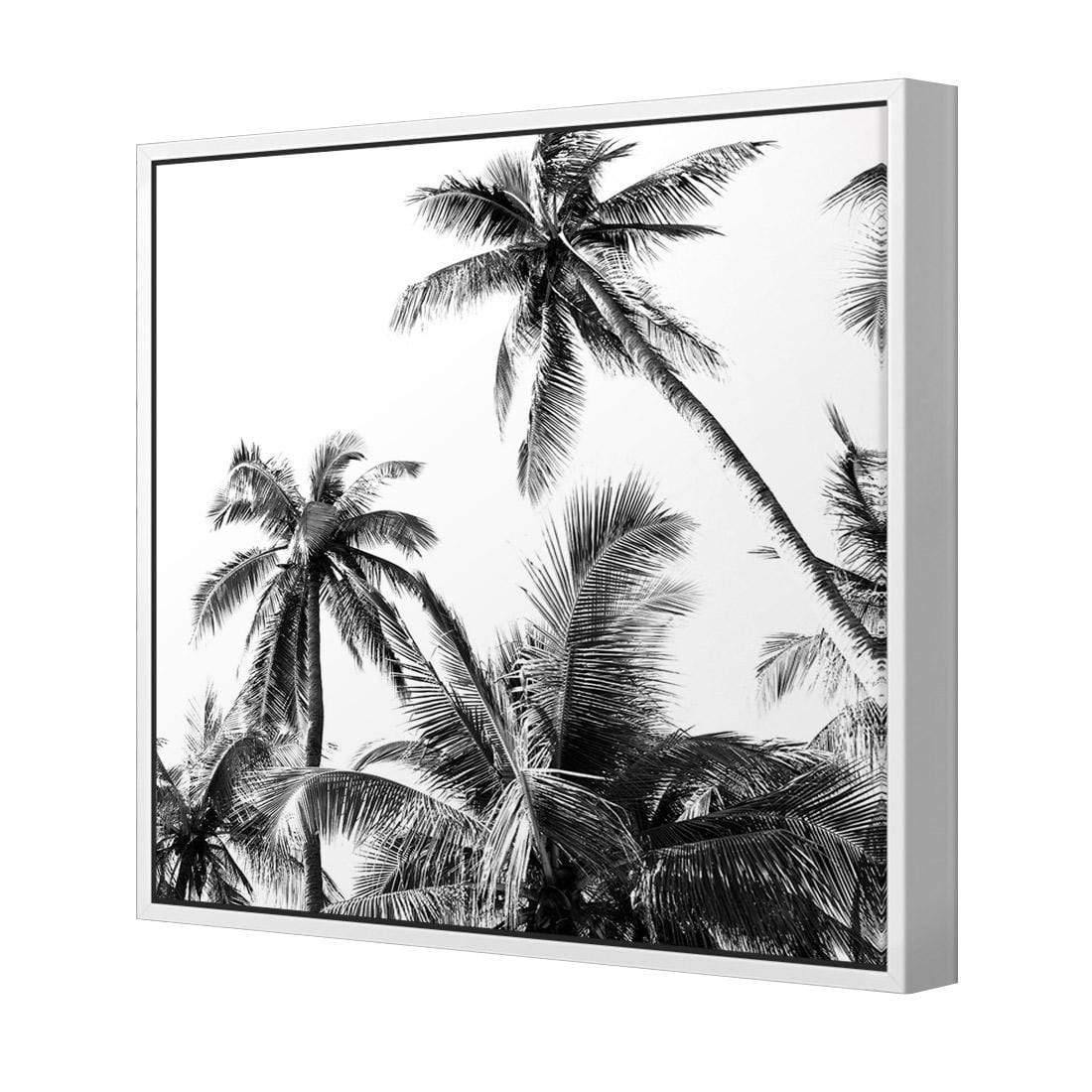 Palm Projections (Square) - Wall Art Designs - 3004_AS_Q WAD_CP - MPY - 260 - M - S - S_37x37_NONE