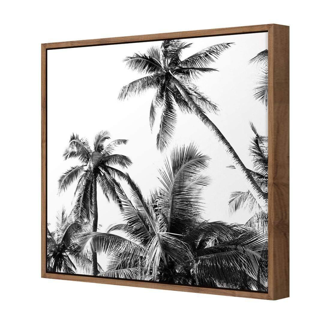 Palm Projections (Square) - Wall Art Designs - 3004_AS_Q WAD_CP - MPY - 260 - M - S - S_37x37_NONE