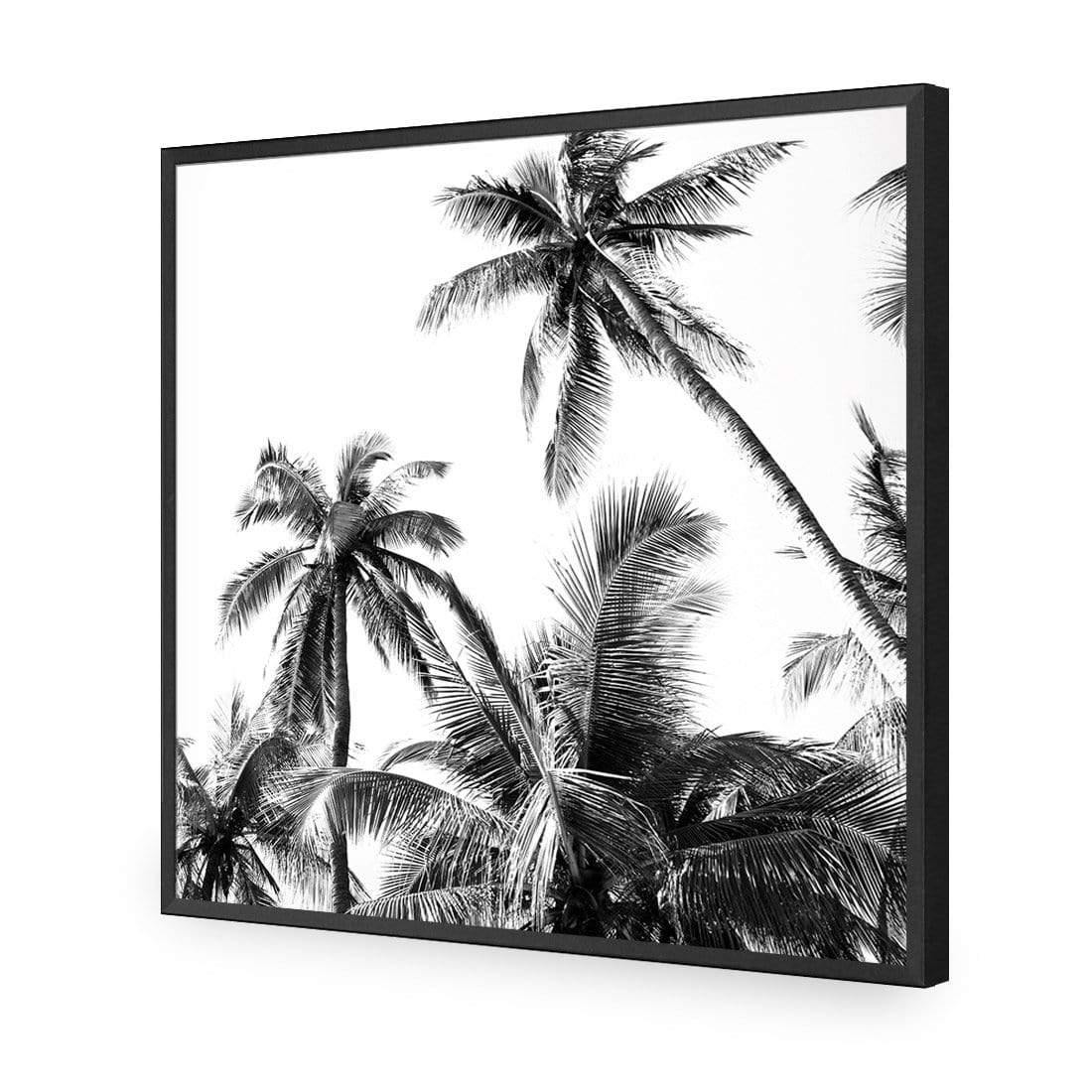 Palm Projections (Square) - Wall Art Designs - 3004_AS_Q WAD_CP - MPY - 260 - M - S - S_37x37_NONE