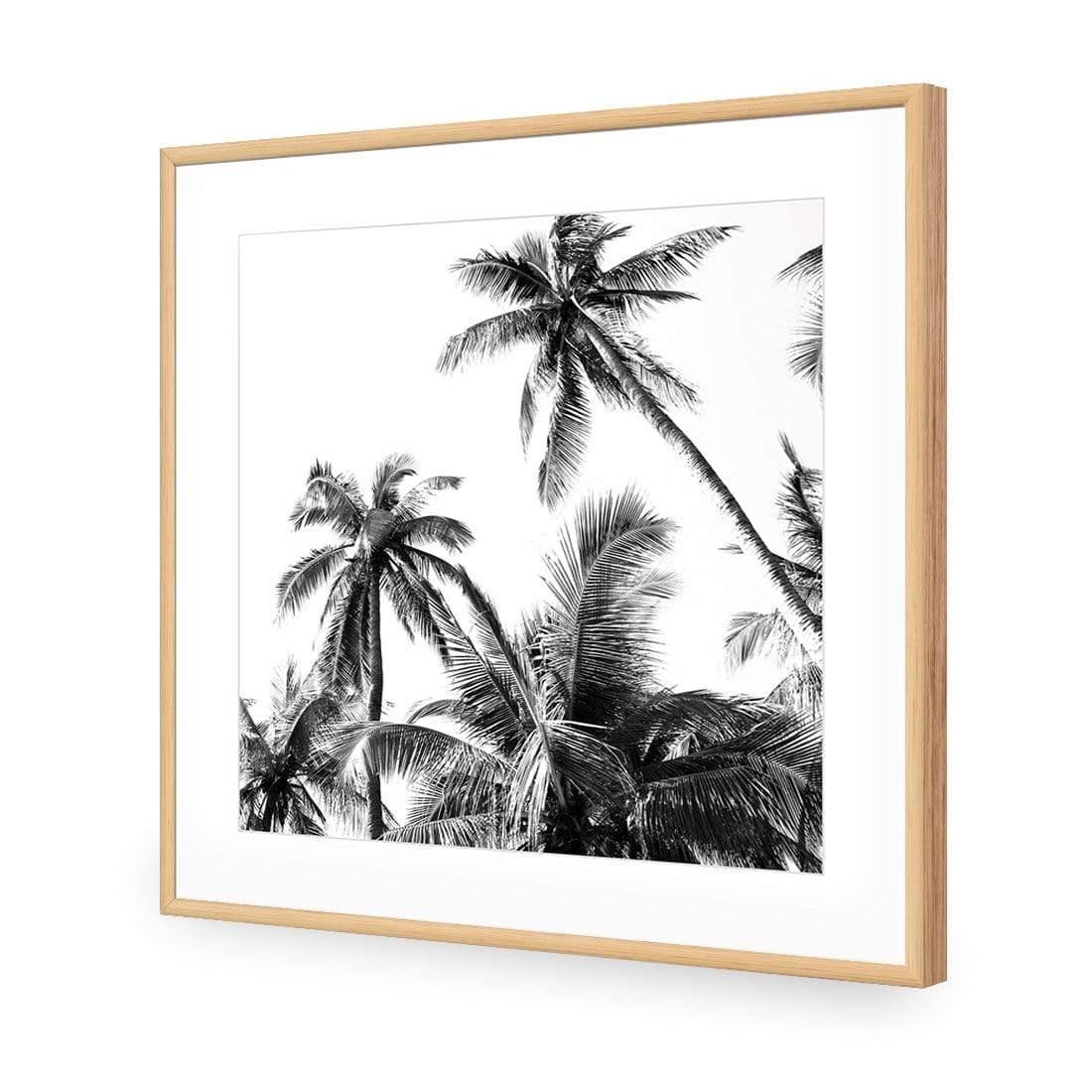 Palm Projections (Square) - Wall Art Designs - 3004_AS_Q WAD_CP - MPY - 260 - M - S - S_37x37_NONE