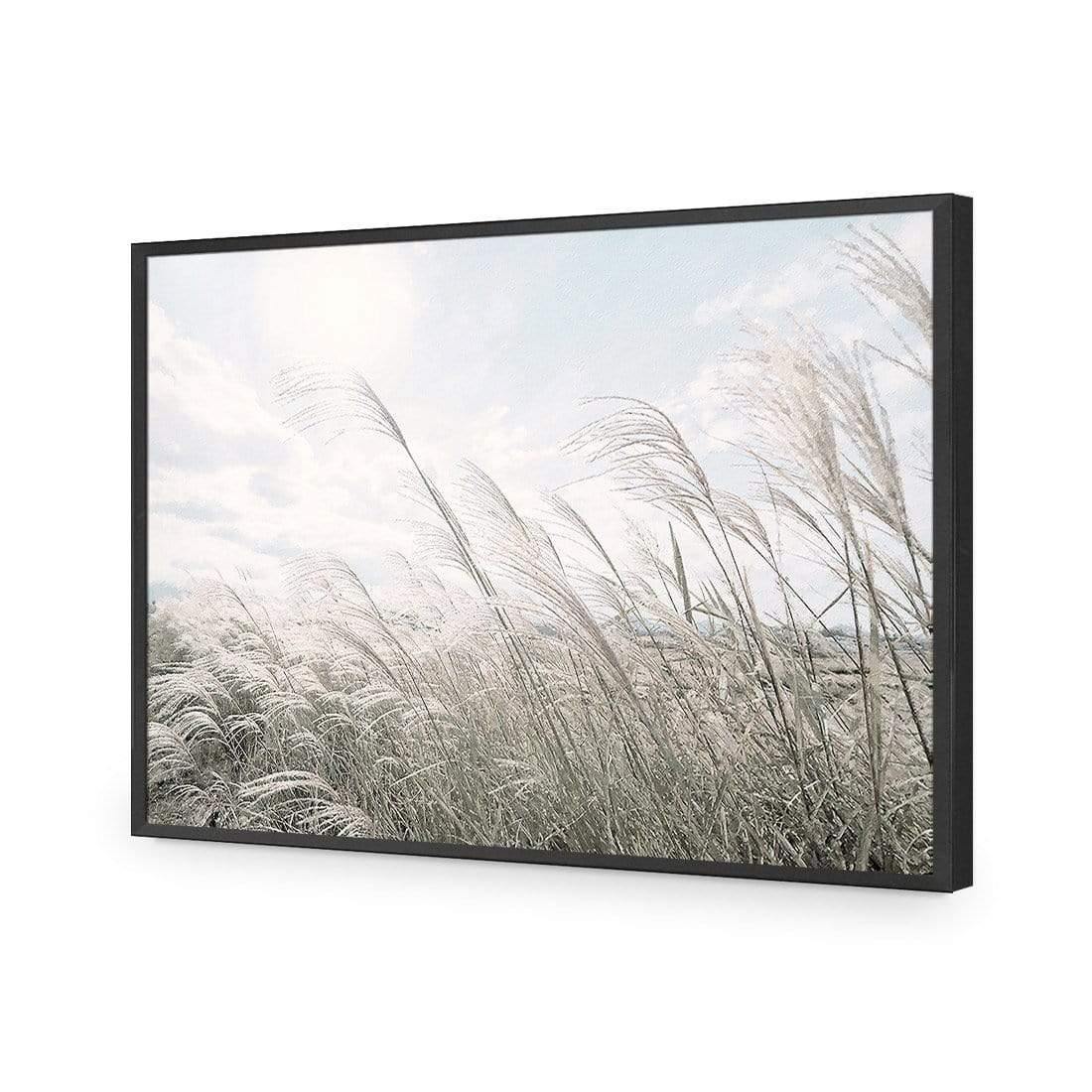 Pampas Pampering - Wall Art Designs - 3957_AR_H WAD_AP - 030 - EDG_45x30_S - 2538 - BLK