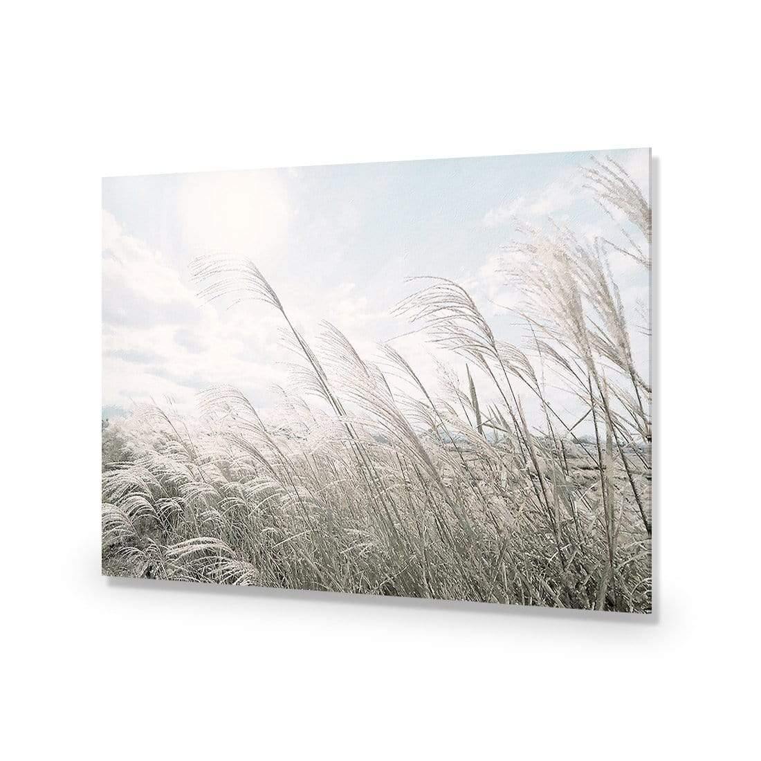 Pampas Pampering - Wall Art Designs - 3957_AR_H WAD_AP - 030 - EDG_45x30_NONE