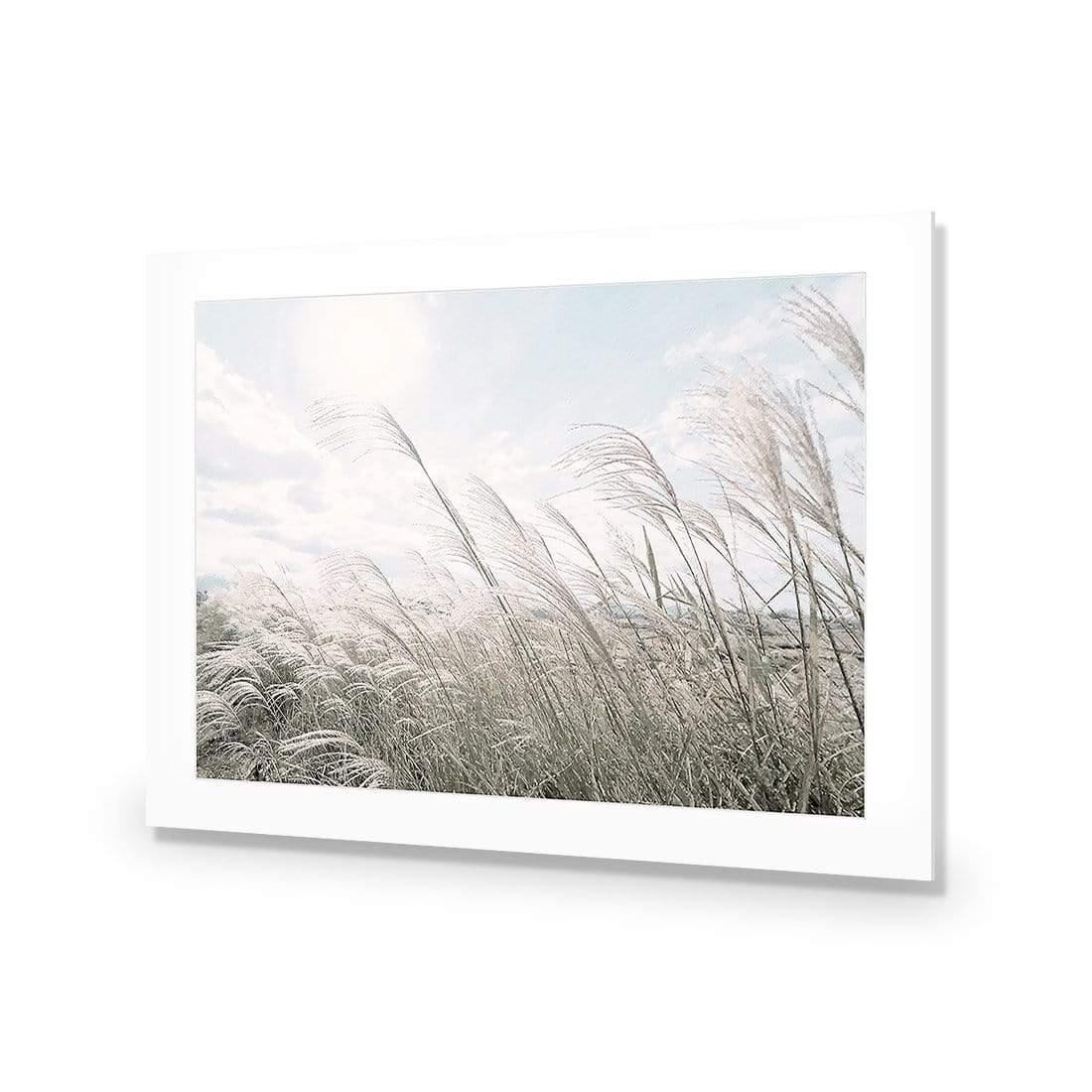 Pampas Pampering - Wall Art Designs - 3957_AR_H WAD_AP - 030 - MAT_45x30_NONE