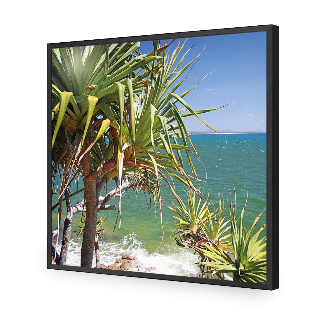 Pandanus Palms (square) - Wall Art Designs - 1152_AS_Q WAD_AP - 030 - EDG_37x37_S - 2538 - BLK