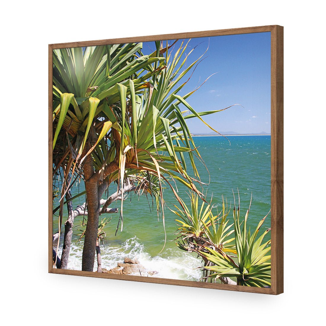 Pandanus Palms (square) - Wall Art Designs - 1152_AS_Q WAD_AP - 030 - EDG_37x37_S - 2538 - NAT