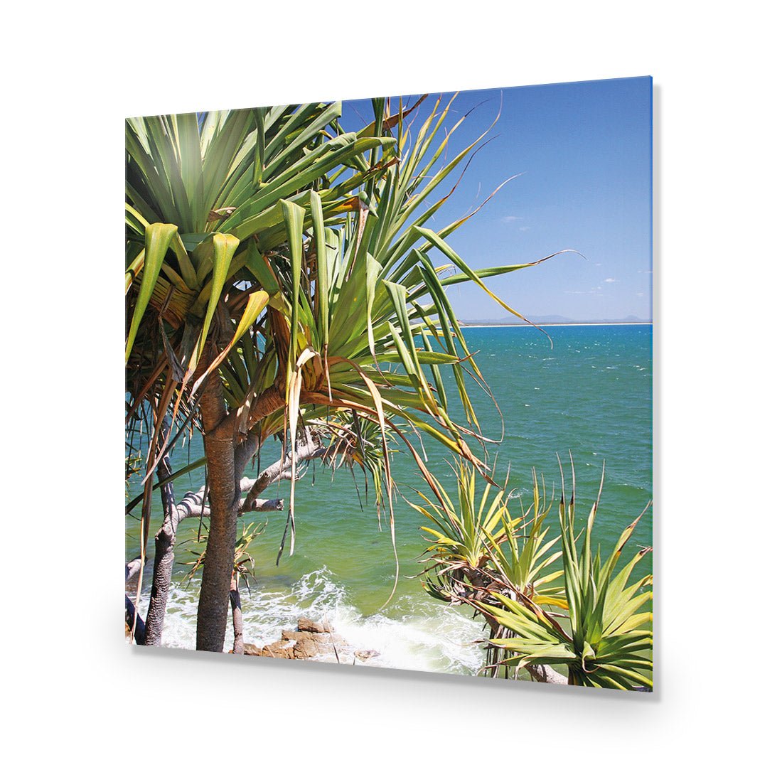 Pandanus Palms (square) - Wall Art Designs - 1152_AS_Q WAD_AP - 030 - EDG_37x37_NONE