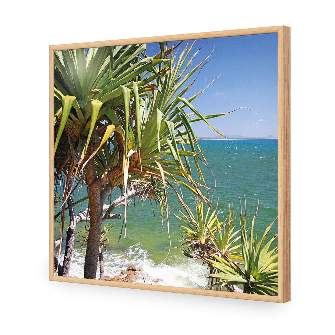 Pandanus Palms (square) - Wall Art Designs - 1152_AS_Q WAD_AP - 030 - EDG_37x37_S - 2538 - OAK