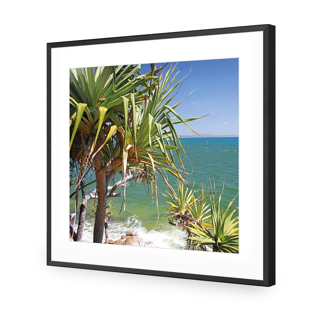 Pandanus Palms (square) - Wall Art Designs - 1152_AS_Q WAD_AP - 030 - MAT_37x37_S - 2538 - BLK