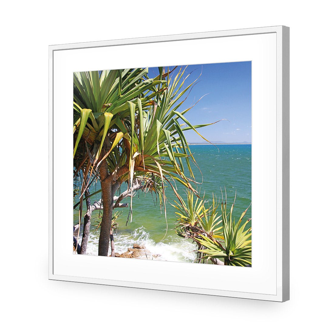 Pandanus Palms (square) - Wall Art Designs - 1152_AS_Q WAD_AP - 030 - MAT_37x37_S - 2538 - BLK